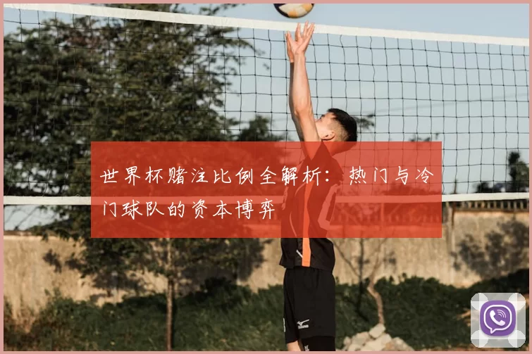 世界杯赌注比例全解析：热门与冷门球队的资本博弈