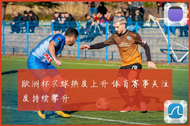 欧洲杯买球热度上升 体育赛事关注度持续攀升