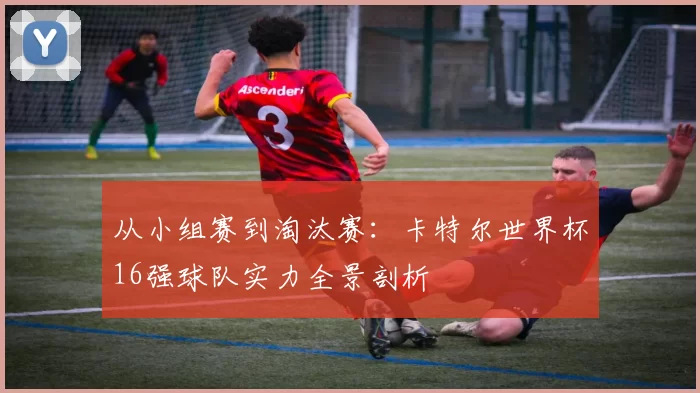 从小组赛到淘汰赛：卡特尔世界杯16强球队实力全景剖析