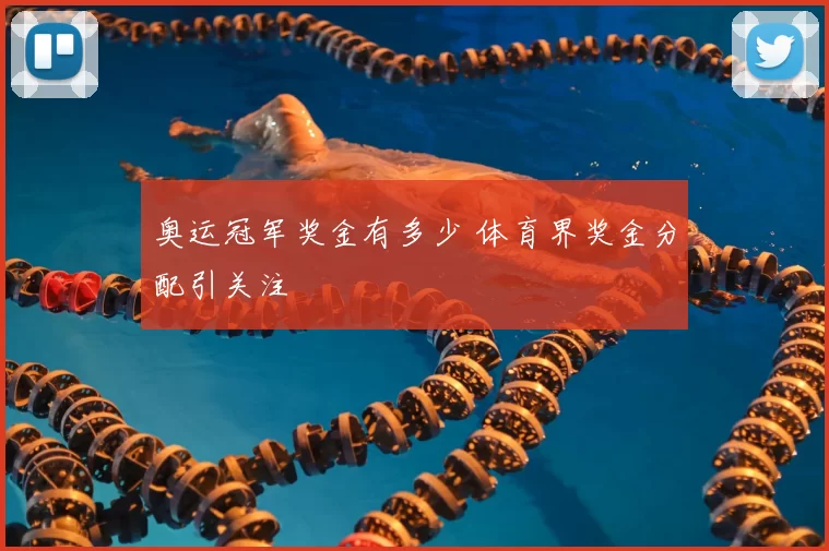 奥运冠军奖金有多少 体育界奖金分配引关注