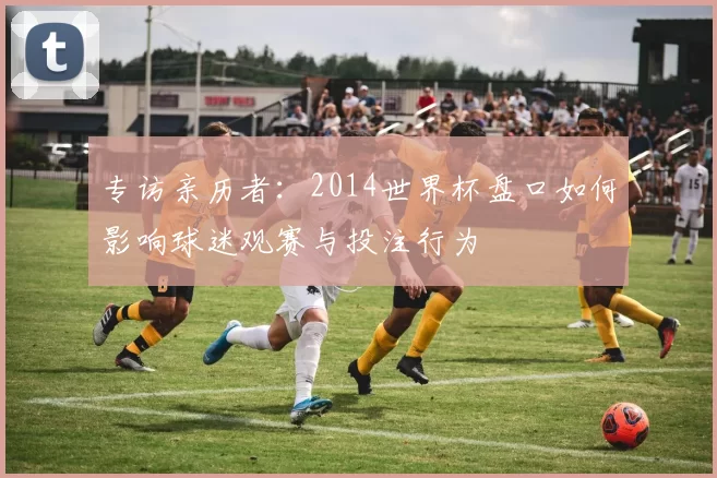 专访亲历者：2014世界杯盘口如何影响球迷观赛与投注行为