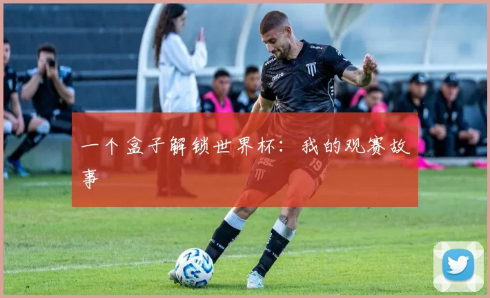 一个盒子解锁世界杯:我的观赛故事