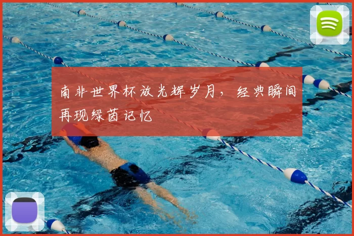 南非世界杯放光辉岁月,经典瞬间再现绿茵记忆