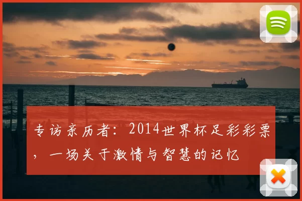 专访亲历者:2014世界杯足彩彩票,一场关于激情与智慧的记忆