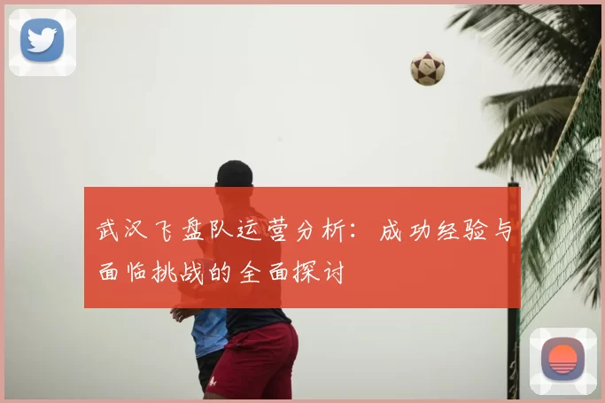 武汉飞盘队运营分析：成功经验与面临挑战的全面探讨