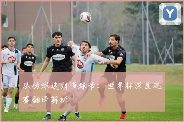 从伪球迷到懂球帝:世界杯深度观赛翻译解析
