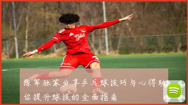 陈军独家分享乒乓球技巧与心得助你提升球技的全面指南