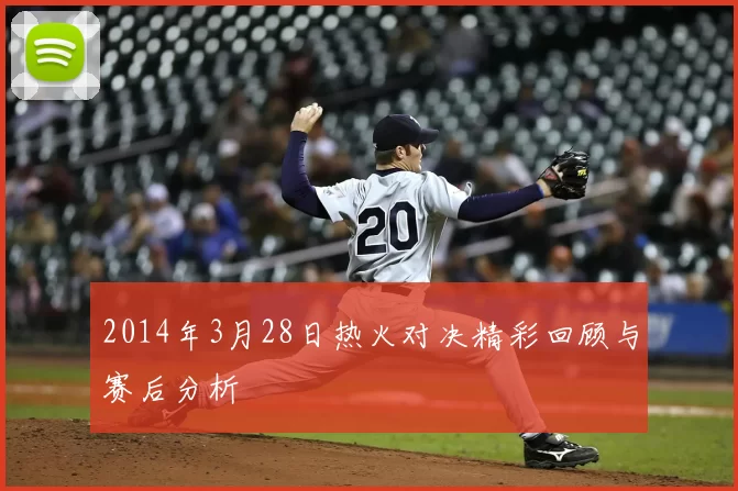 2014年3月28日热火对决精彩回顾与赛后分析