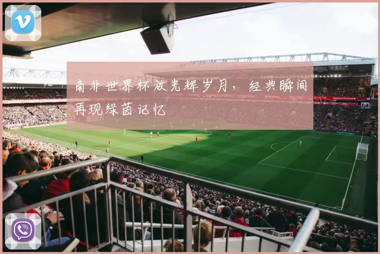南非世界杯放光辉岁月，经典瞬间再现绿茵记忆
