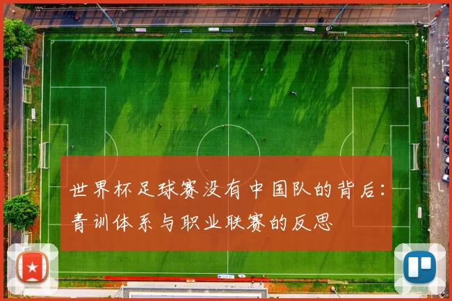 世界杯足球赛没有中国队的背后:青训体系与职业联赛的反思
