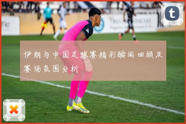 伊朗与中国足球赛精彩瞬间回顾及赛场氛围分析