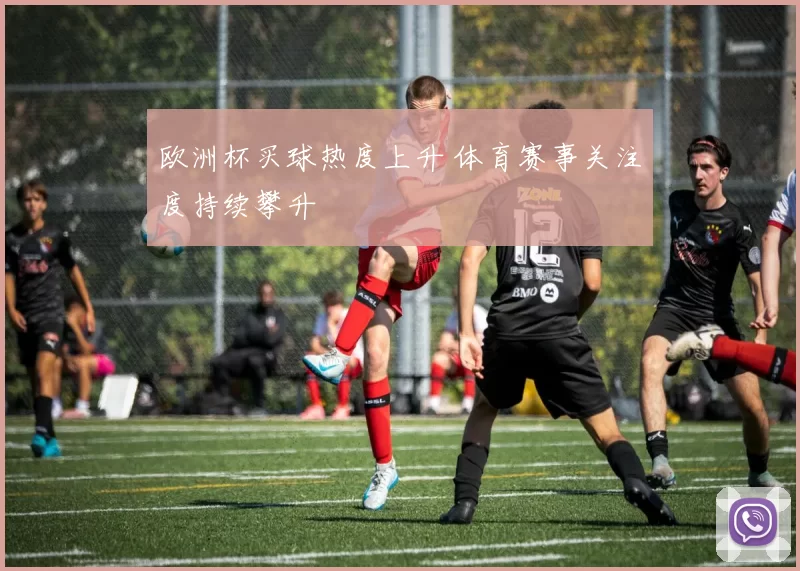 欧洲杯买球热度上升 体育赛事关注度持续攀升