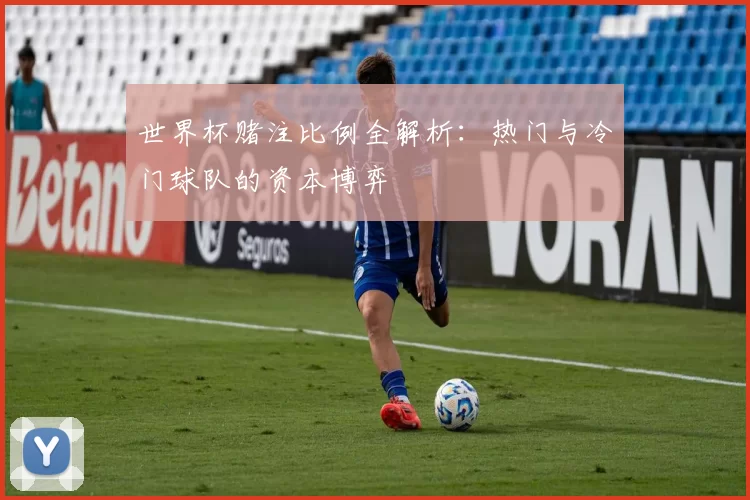 世界杯赌注比例全解析:热门与冷门球队的资本博弈